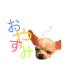 kanobits1（個別スタンプ：5）