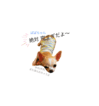 kanobits1（個別スタンプ：7）