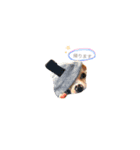 kanobits1（個別スタンプ：8）