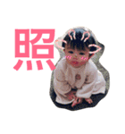 のあれおステッカー2（個別スタンプ：11）
