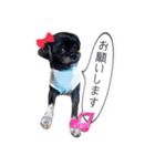 家のらぶちゃん。（個別スタンプ：7）