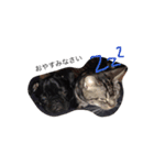 アンジーと仲間達3（個別スタンプ：15）