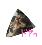 うさぎのめいたろう（個別スタンプ：4）