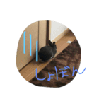 うさぎのめいたろう（個別スタンプ：6）
