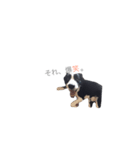 faith2（個別スタンプ：7）