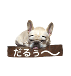 肉かつらおじさん♂さくらの日常 ④（個別スタンプ：3）