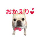 肉かつらおじさん♂さくらの日常 ④（個別スタンプ：7）