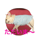 肉かつらおじさん♂さくらの日常 ④（個別スタンプ：8）