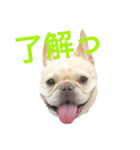 肉かつらおじさん♂さくらの日常 ④（個別スタンプ：12）
