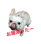 肉かつらおじさん♂さくらの日常 ④（個別スタンプ：15）