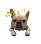 肉かつらおじさん♂さくらの日常 ④（個別スタンプ：16）