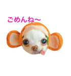 顔とセリフが合ってないシリーズ（個別スタンプ：2）