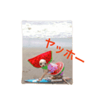 顔とセリフが合ってないシリーズ（個別スタンプ：12）