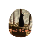 双子ネコ（個別スタンプ：1）