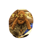 双子ネコ（個別スタンプ：6）