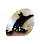 双子ネコ（個別スタンプ：7）