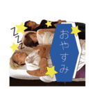 GEIPUROsticker2017（個別スタンプ：37）