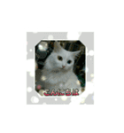オッドアイのラブちゃんと愉快な仲間達（個別スタンプ：2）