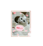 オッドアイのラブちゃんと愉快な仲間達（個別スタンプ：7）