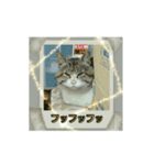 オッドアイのラブちゃんと愉快な仲間達（個別スタンプ：22）