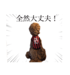 ルポのスタンプ（個別スタンプ：22）