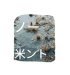 稲作について（個別スタンプ：7）