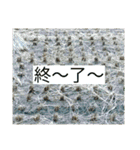 稲作について（個別スタンプ：8）