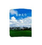 稲作について（個別スタンプ：11）