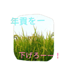 稲作について（個別スタンプ：20）
