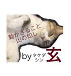 玄猫  (ネコ・ねこ)（個別スタンプ：32）