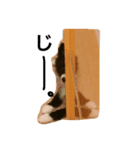 monjp（個別スタンプ：4）