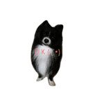 monjp（個別スタンプ：6）