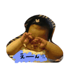 ひまりの日々（個別スタンプ：13）