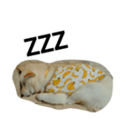 もふぞうの日常（個別スタンプ：7）