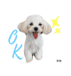 いぬといぬといぬ（個別スタンプ：3）