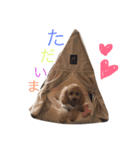 いぬといぬといぬ（個別スタンプ：5）