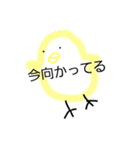 可愛い可愛いひよこちゃん（個別スタンプ：14）