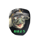 ちょびの日常（個別スタンプ：1）