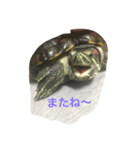 ちょびの日常（個別スタンプ：6）