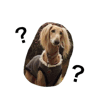 Saluki Muse Family（個別スタンプ：5）