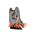 mugichoko（個別スタンプ：2）