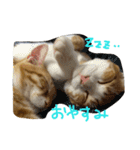 mugichoko（個別スタンプ：7）