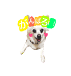moriyafamly（個別スタンプ：2）