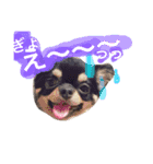 moriyafamly（個別スタンプ：3）