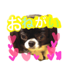 moriyafamly（個別スタンプ：4）