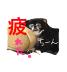 moriyafamly（個別スタンプ：7）
