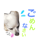 moriyafamly（個別スタンプ：10）