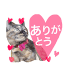 moriyafamly（個別スタンプ：13）