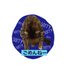 ほくろ＆くるりお気楽スタンプpart2（個別スタンプ：2）