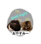 ほくろ＆くるりお気楽スタンプpart2（個別スタンプ：4）